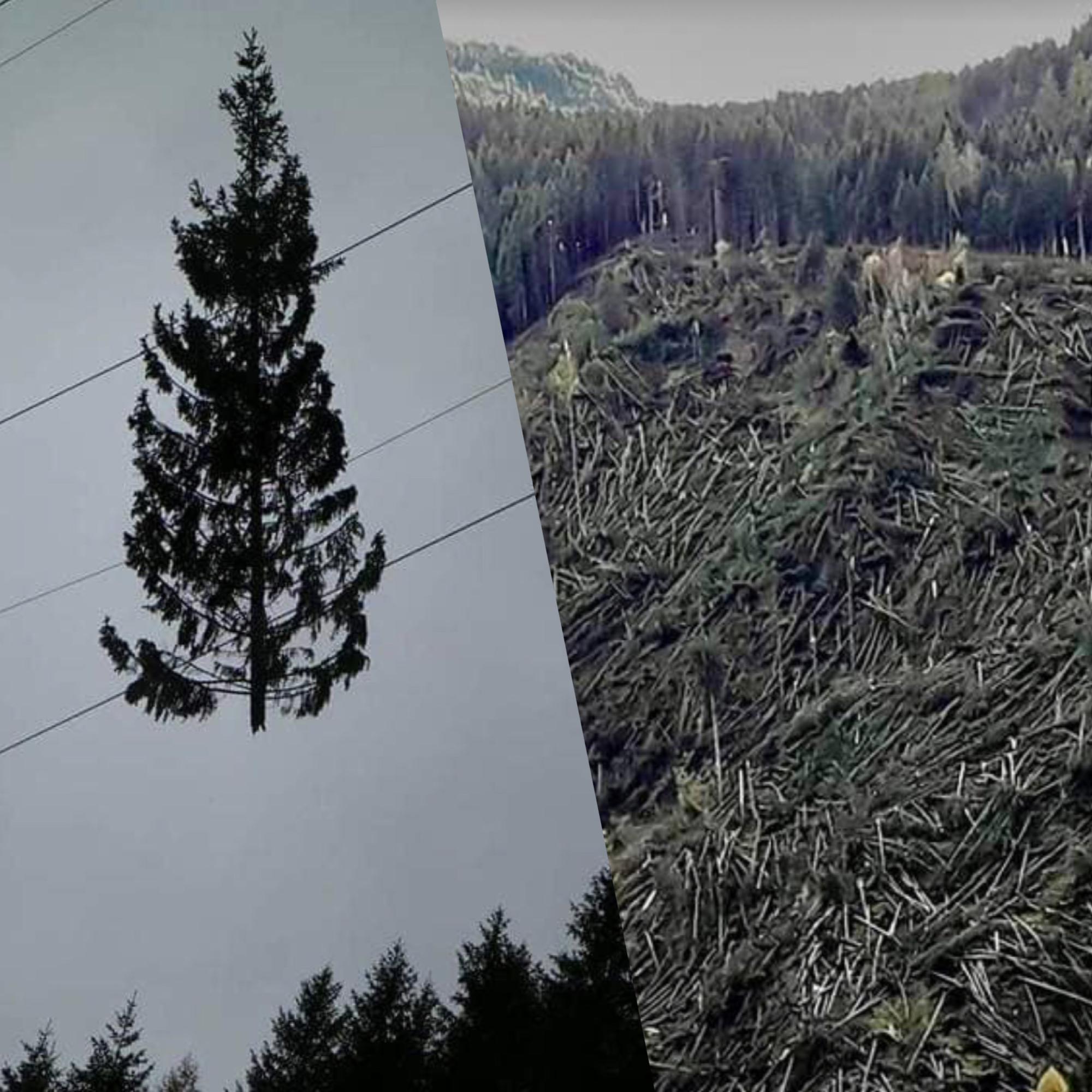 La natura ha iniziato a presentarci il conto