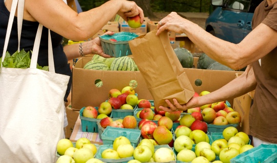 Per gli alimenti, torniamo al sacchetto
