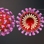 1280px-3D_medical_animation_coronavirus_structure