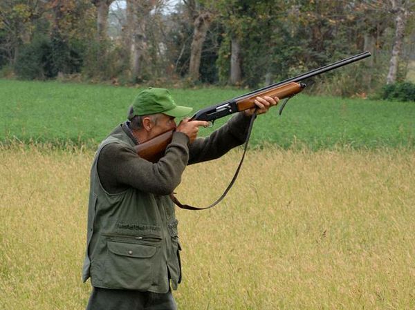 Caccia: l TAR sentenzia che l’Assessore competente non è competente
