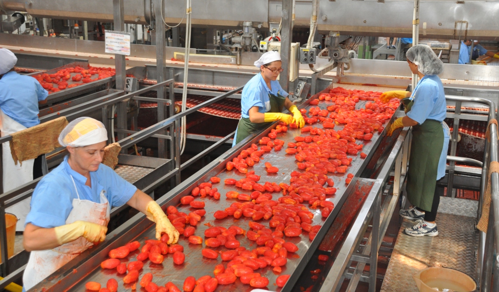 Filiera del pomodoro: conquistato il diritto di sapere