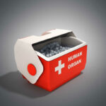 open human organ refrigerator box red 3d render on grey