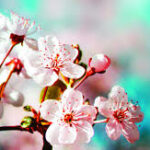 Unknown-1