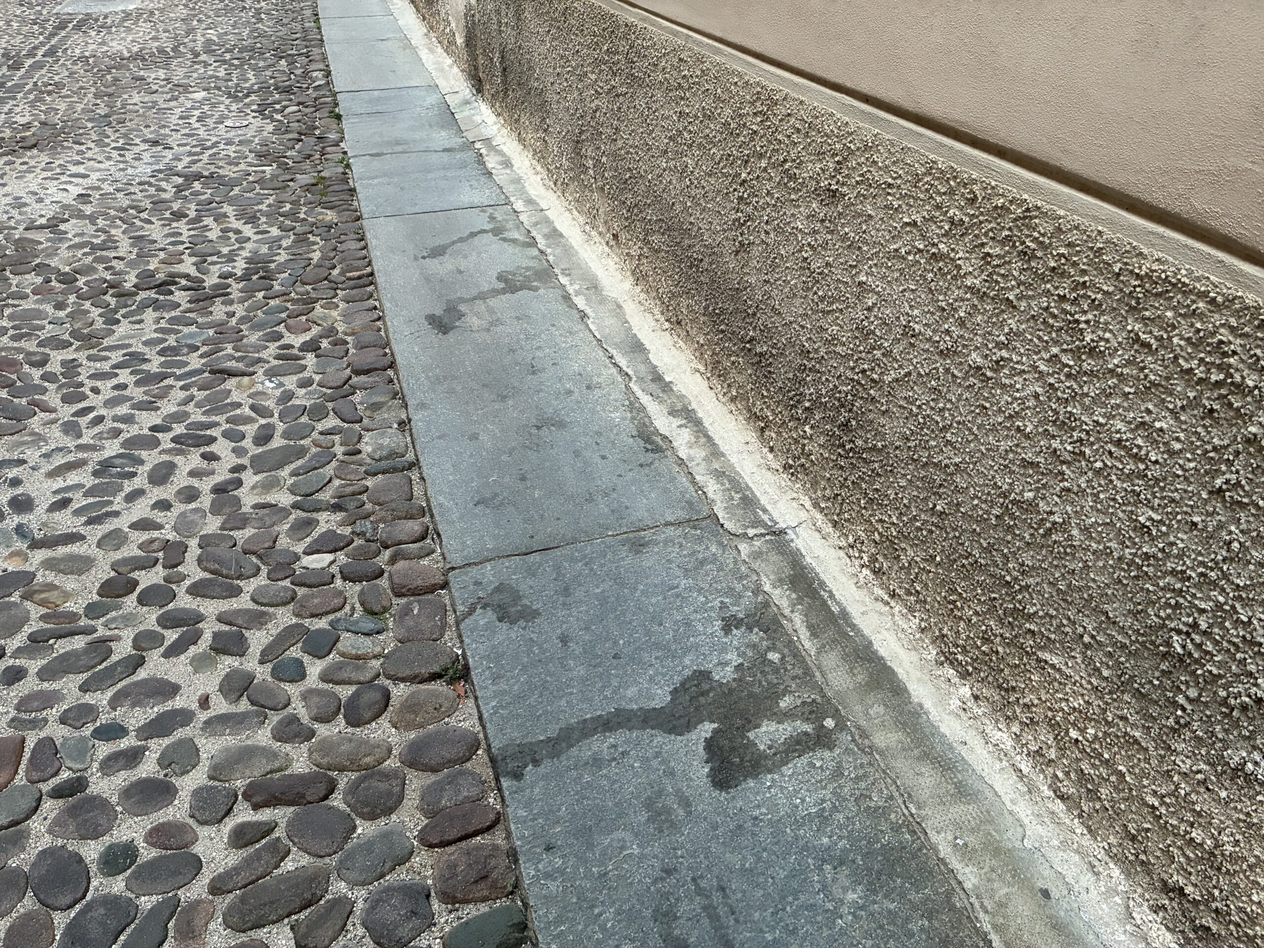 Piove! Finalmente si lavano i marciapiedi dalle pipì dei cani