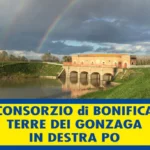 consorzio-bonifica-terra-dei-gonzaga.jpg