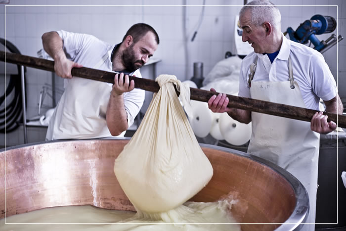 Imparare a fare il Parmigiano Reggiano