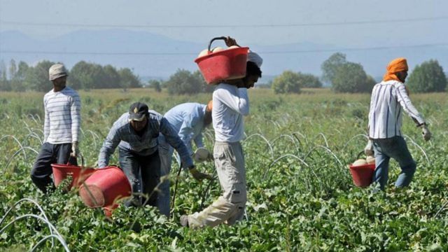 Lavorare per un tozzo di pane raffermo e un bicchiere di acqua stantìa