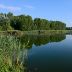 21502_141_PRMIN
