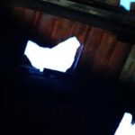 Unknown-1