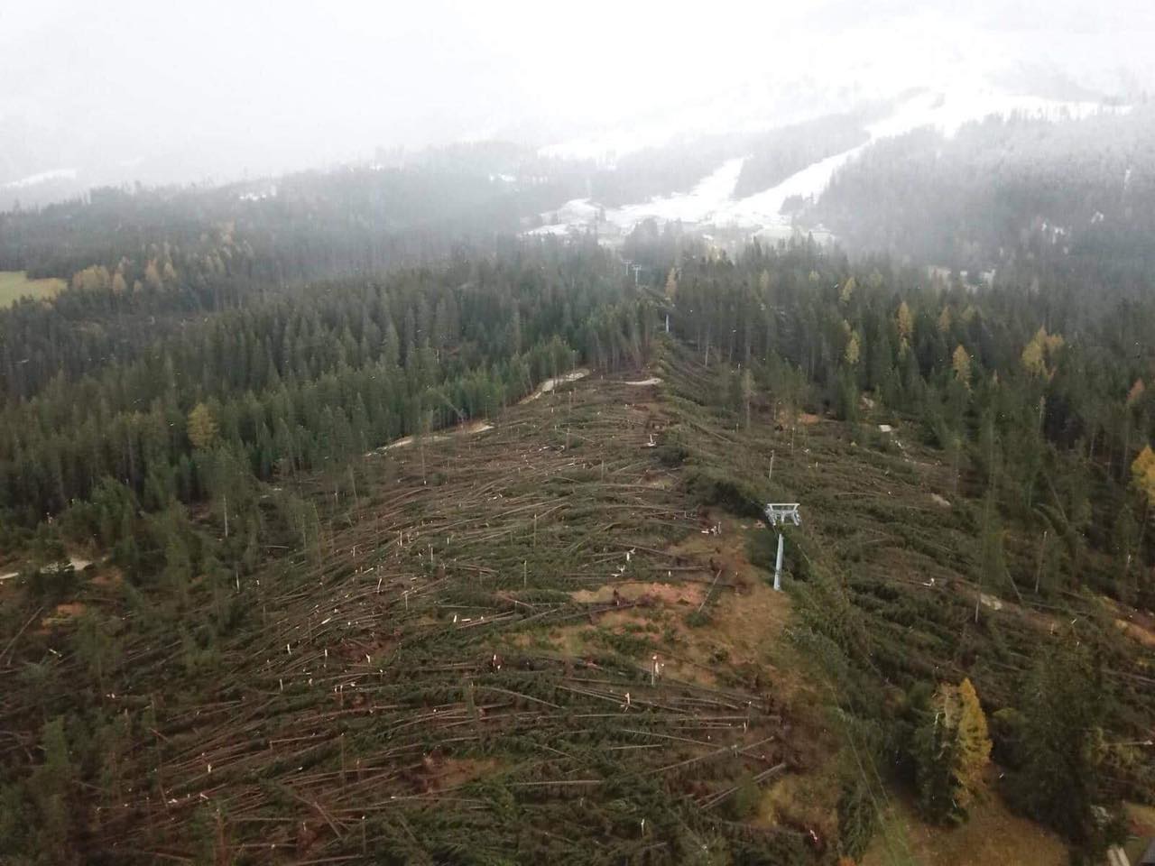 Resilienza