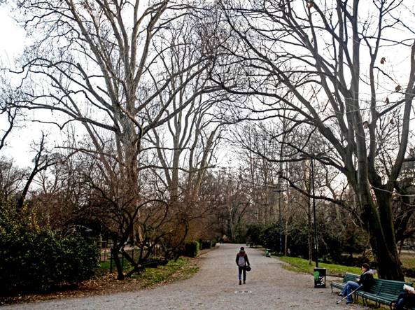 Le piante sentono che il clima é cambiato
