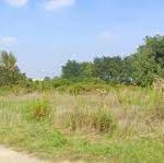 Campo