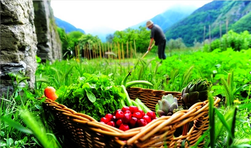 UN’ALIMENTAZIONE CONSAPEVOLE