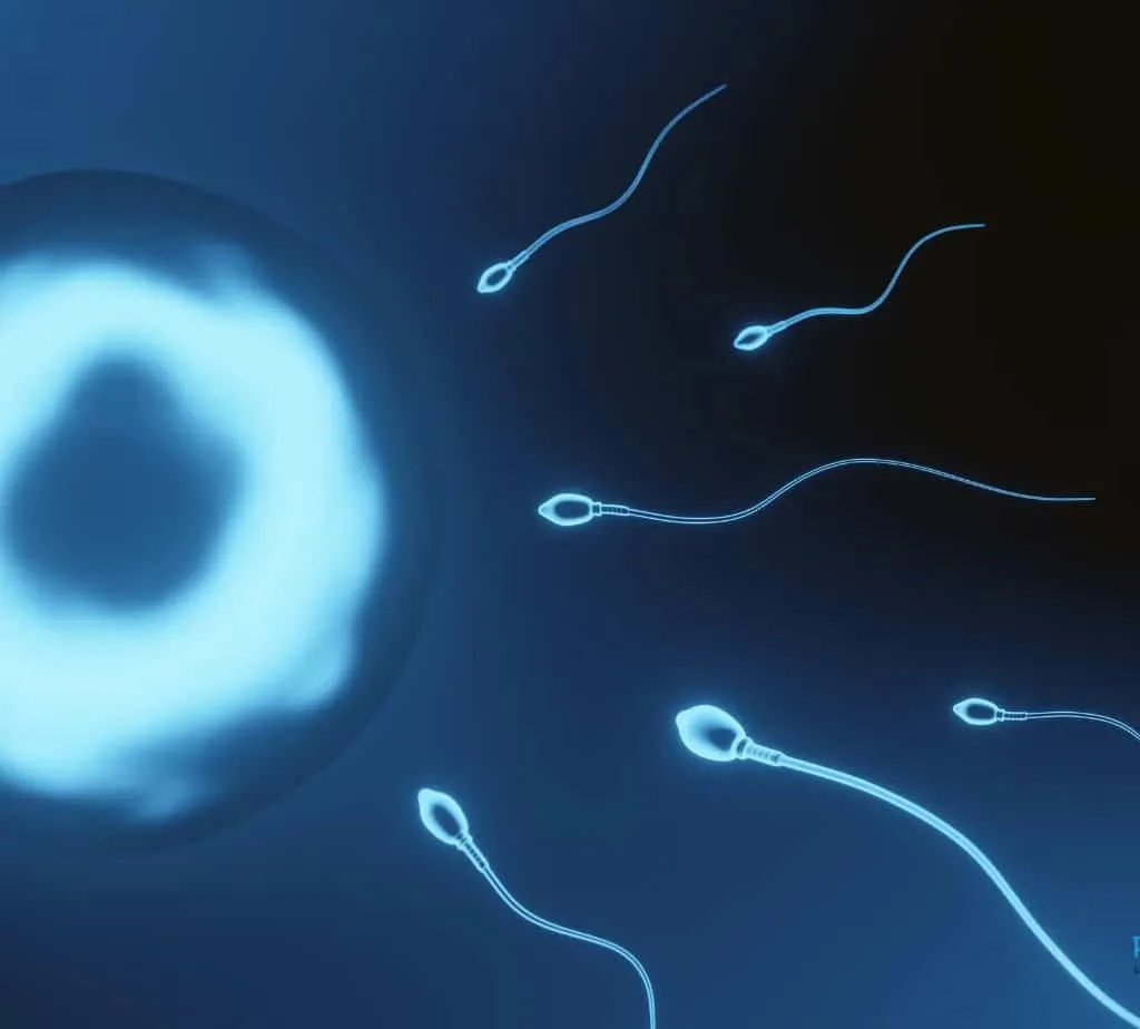 Non basta fare figli