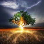 Fulmine_albero