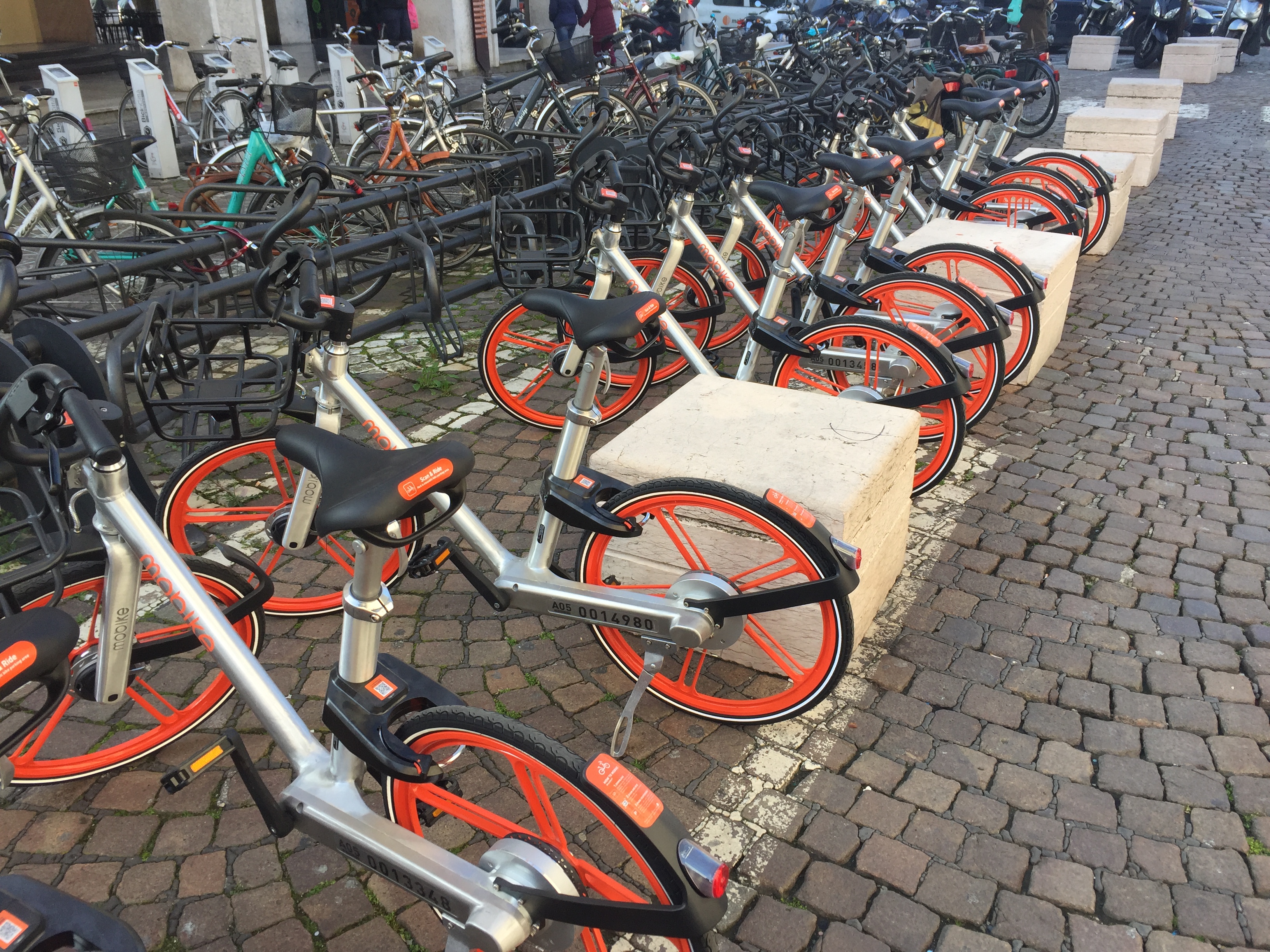 Invasi da 300 bici arancioni