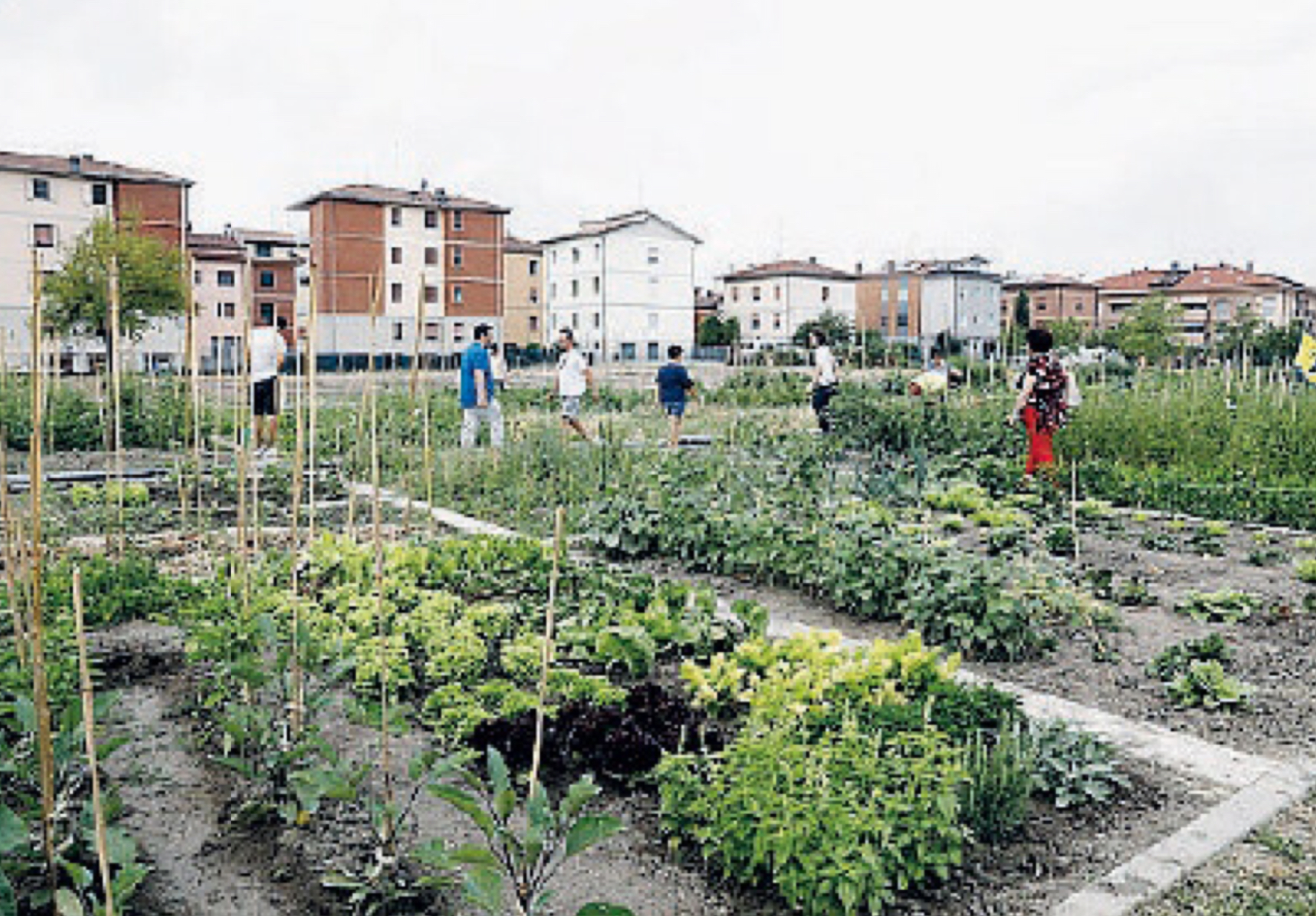 Gli orti sociali richiesti non solo da anziani