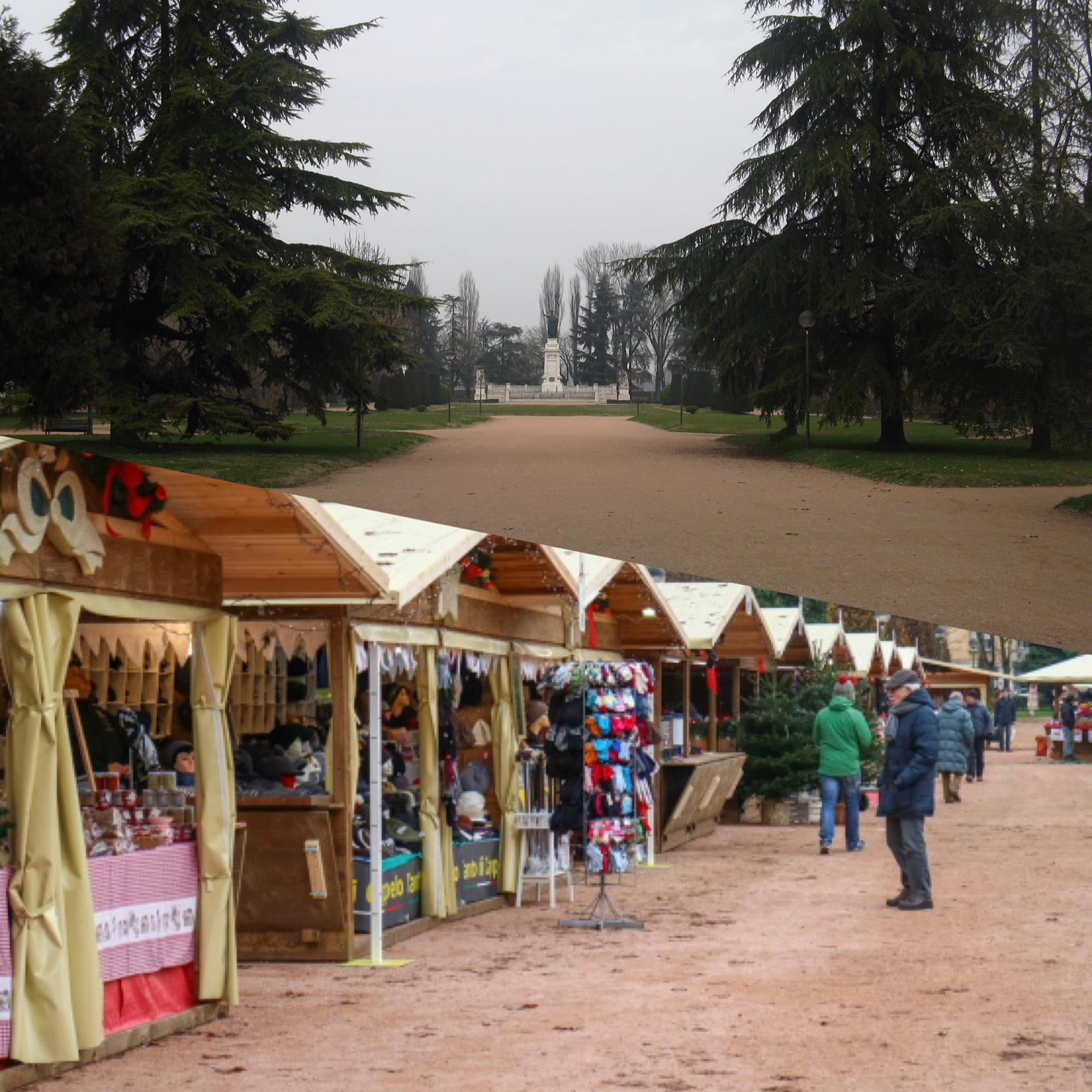 Piazza Virgiliana: ridiamole dignità di foresta urbana