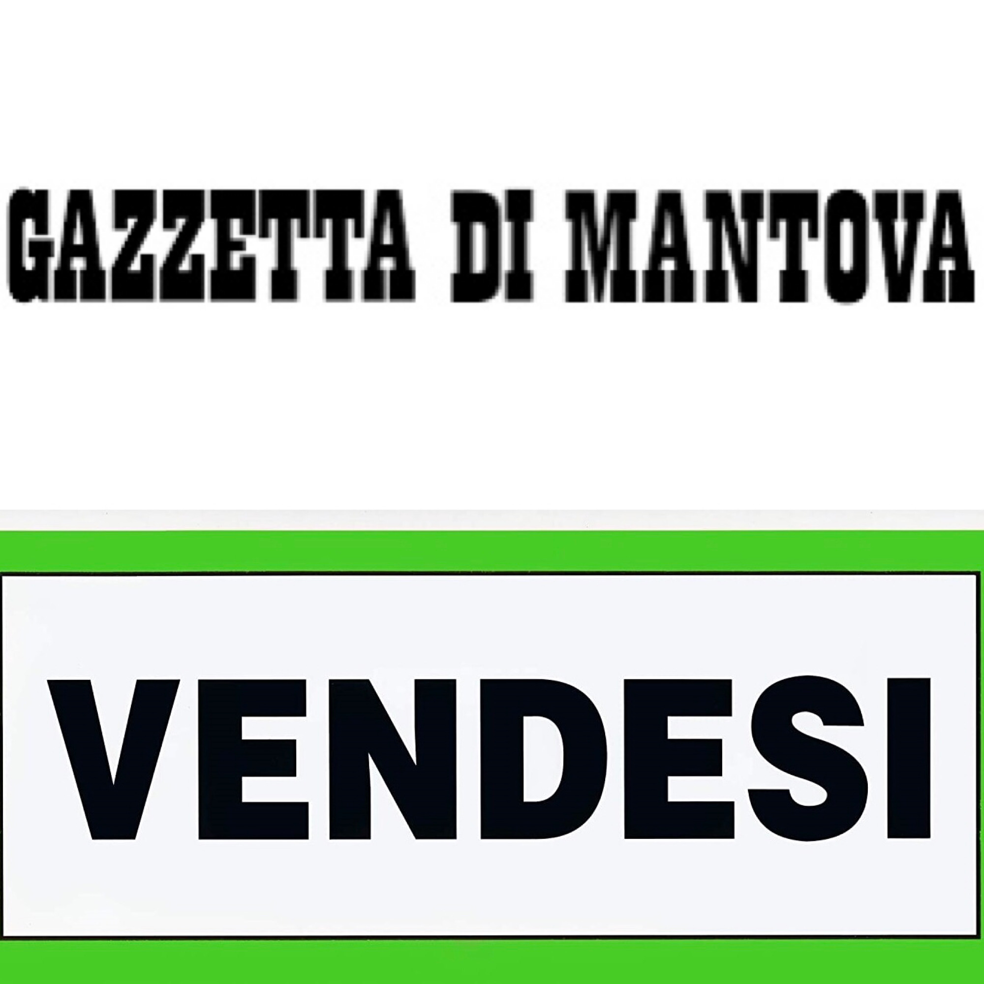 La Gazzetta di Mantova è in vendita