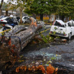 Maltempo Roma, Alberi caduti dopo il temporale di ieri