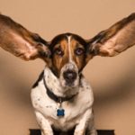 Photo-by-kyle-smith-on-Unsplash-e1547234751504