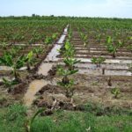 Sistemi-di-irrigazione-metodo-per-scorrimento