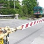 TANGE11-e1564925259598