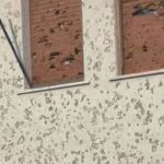 Unknown-2