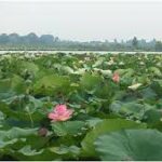 Unknown-2