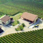 azienda-agricola-piccola