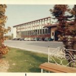azienda-pennelli-cinghiale-480×402