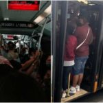 bus_affollati_genova