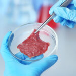 Scientist inspecting meat sample at laboratory
