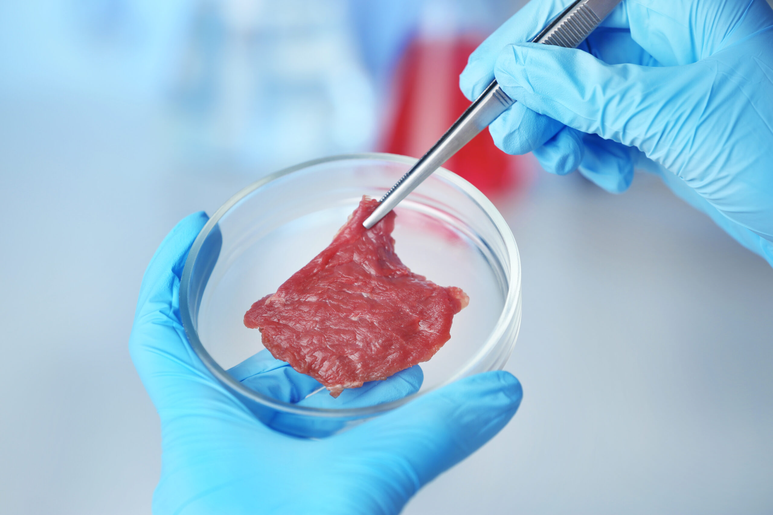 La carne è debole