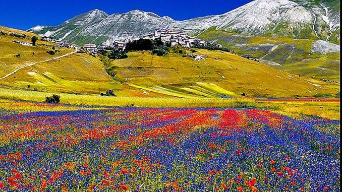 Piccola storia di speranza primaverile