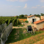 chisiamo