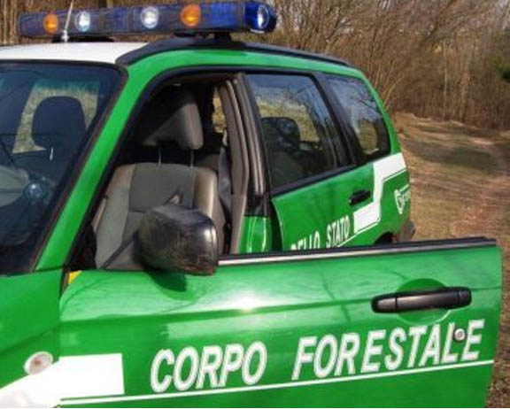 Basterebbe il buon senso Auto ex Forestale ferme in garage