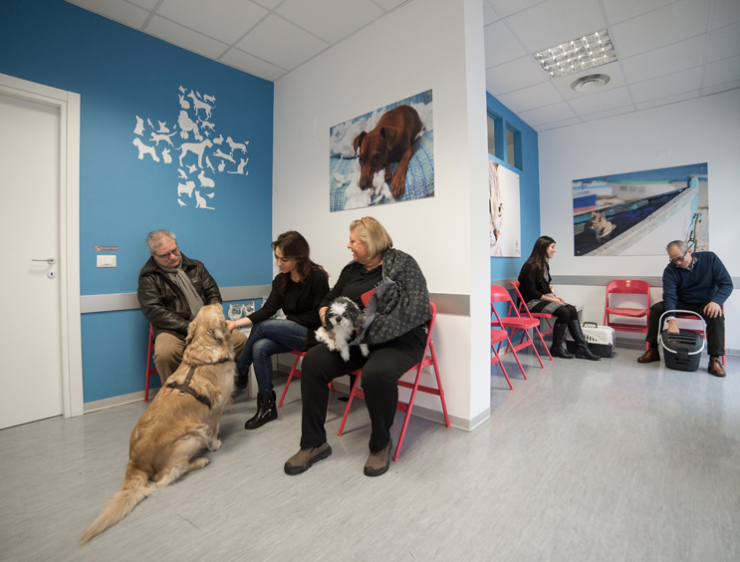 Abbiamo più pazienza dal veterinario che non al pronto soccorso