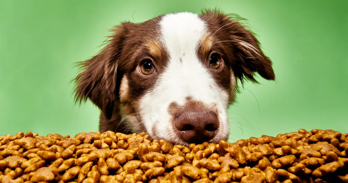 Il Pet Food tira e attira