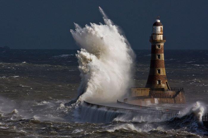 Come può uno scoglio arginare il mare? 27.000 ettari per ogni Guardia Venatoria