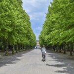 forestazione-urbana-1
