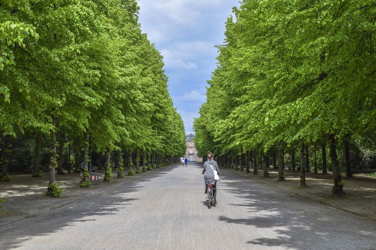 Riforestazione urbana finanziata ma a noi piace sudare