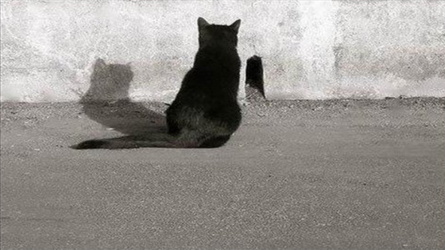 In attesa delle verità sugli “amici cattivi” e i brogli alla Cano