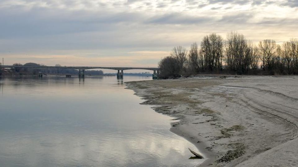 Sfregiare la natura ci costa 360 milioni, solo per il PO