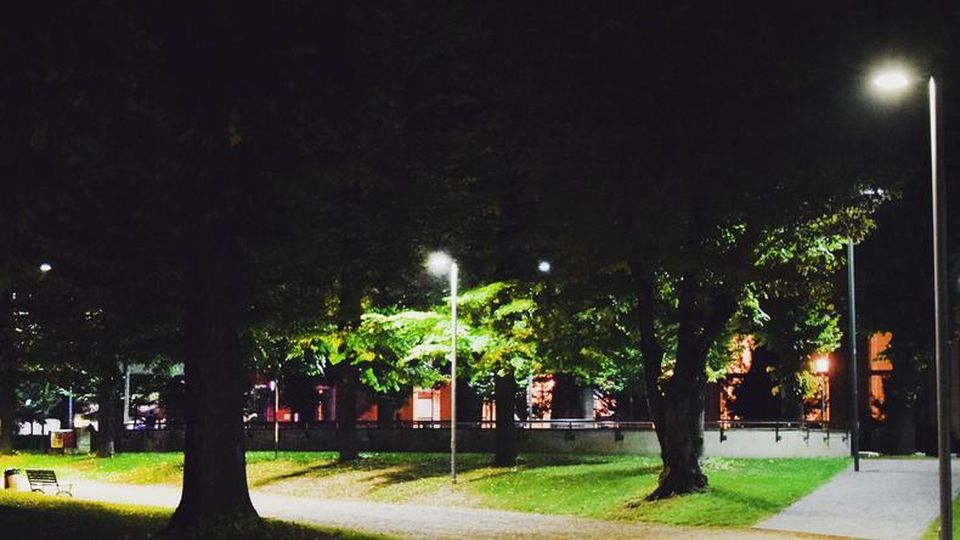 Sciuponi di pubblica illuminazione