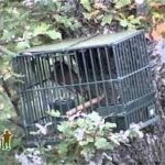 images-1