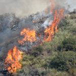 incendio-boschivo