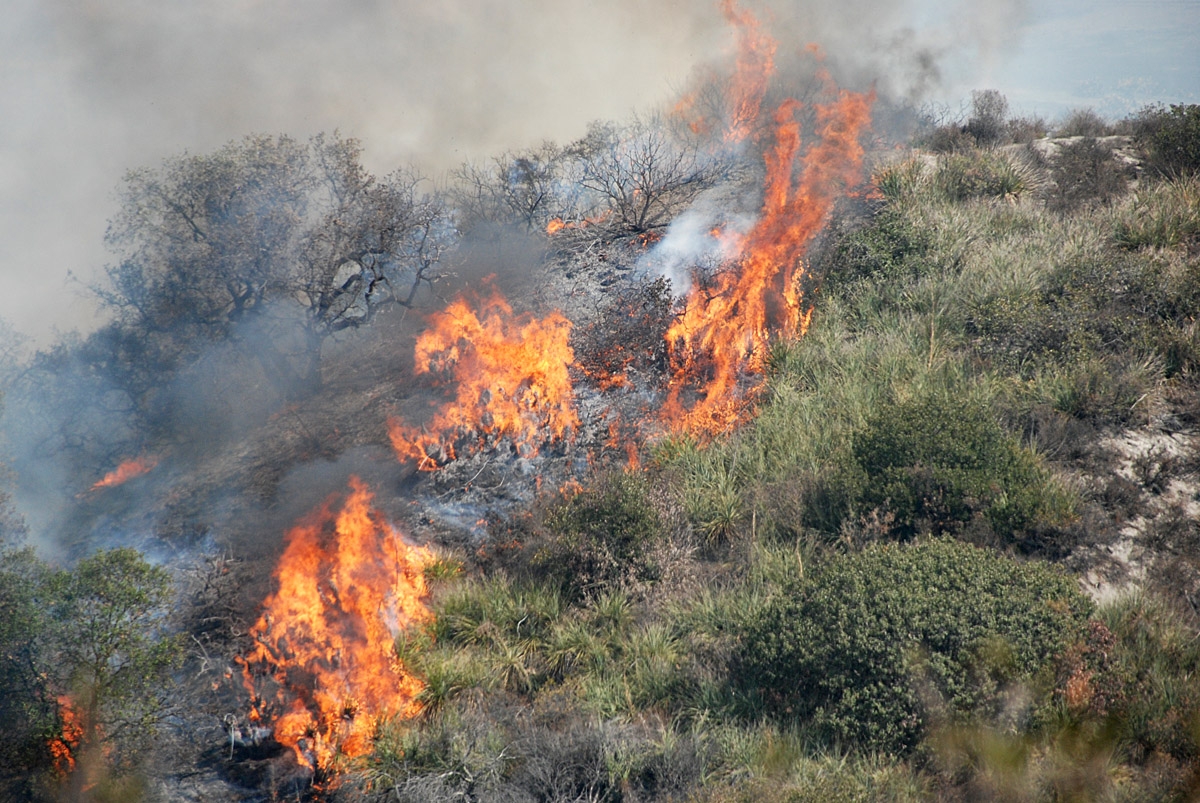 Coltivare e sfalciare per prevenire incendi