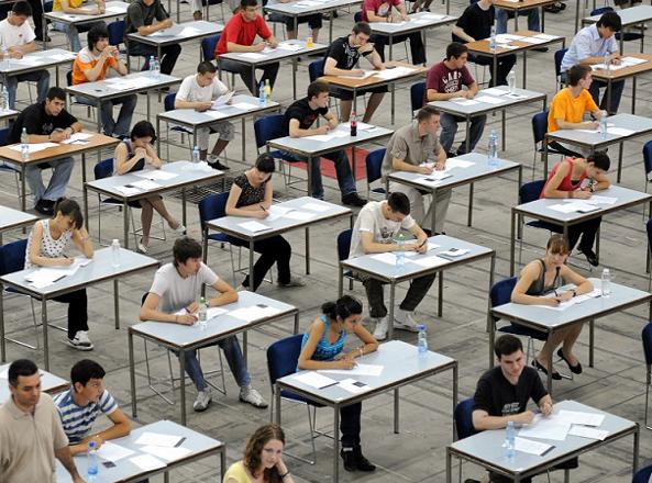 Il pollaio delle classi pollaio