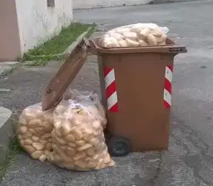 Il pane invenduto, non può essere gettato nell’umido
